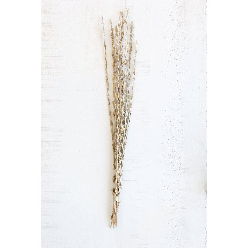 Washed Gold Date Leaves